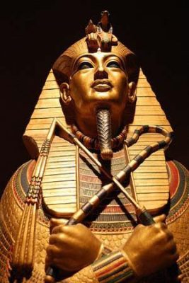 hành trình lượng tử chữa lành lo âu